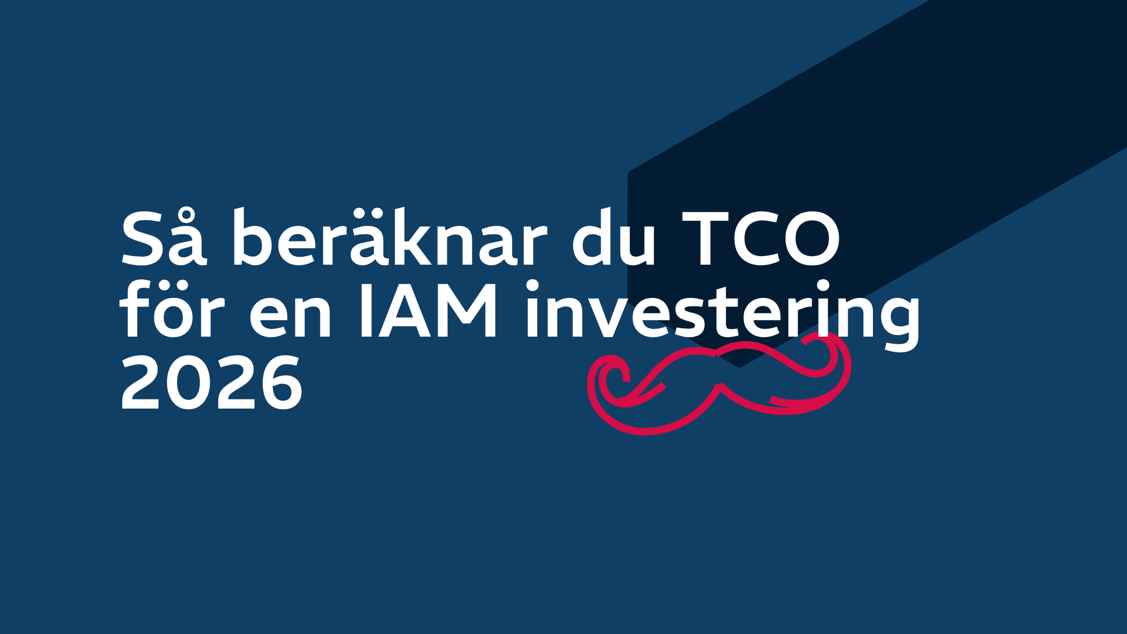 Så beräknar du TCO för en IAM investering 2026